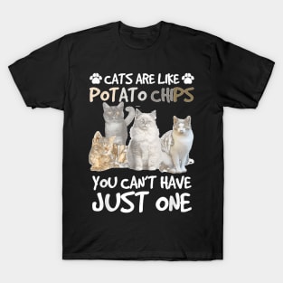 Cats Are Like Potato Chips You Can Not Have Just One Funny T-Shirt